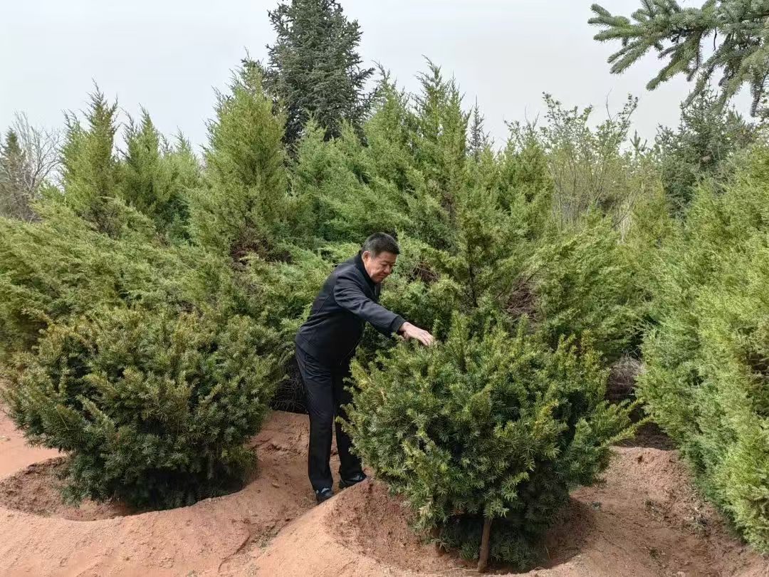 1761879198556963.jpg 3.jpg